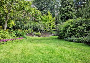 Optimiser l'expérience du jardin à Bonneville-la-Louvet